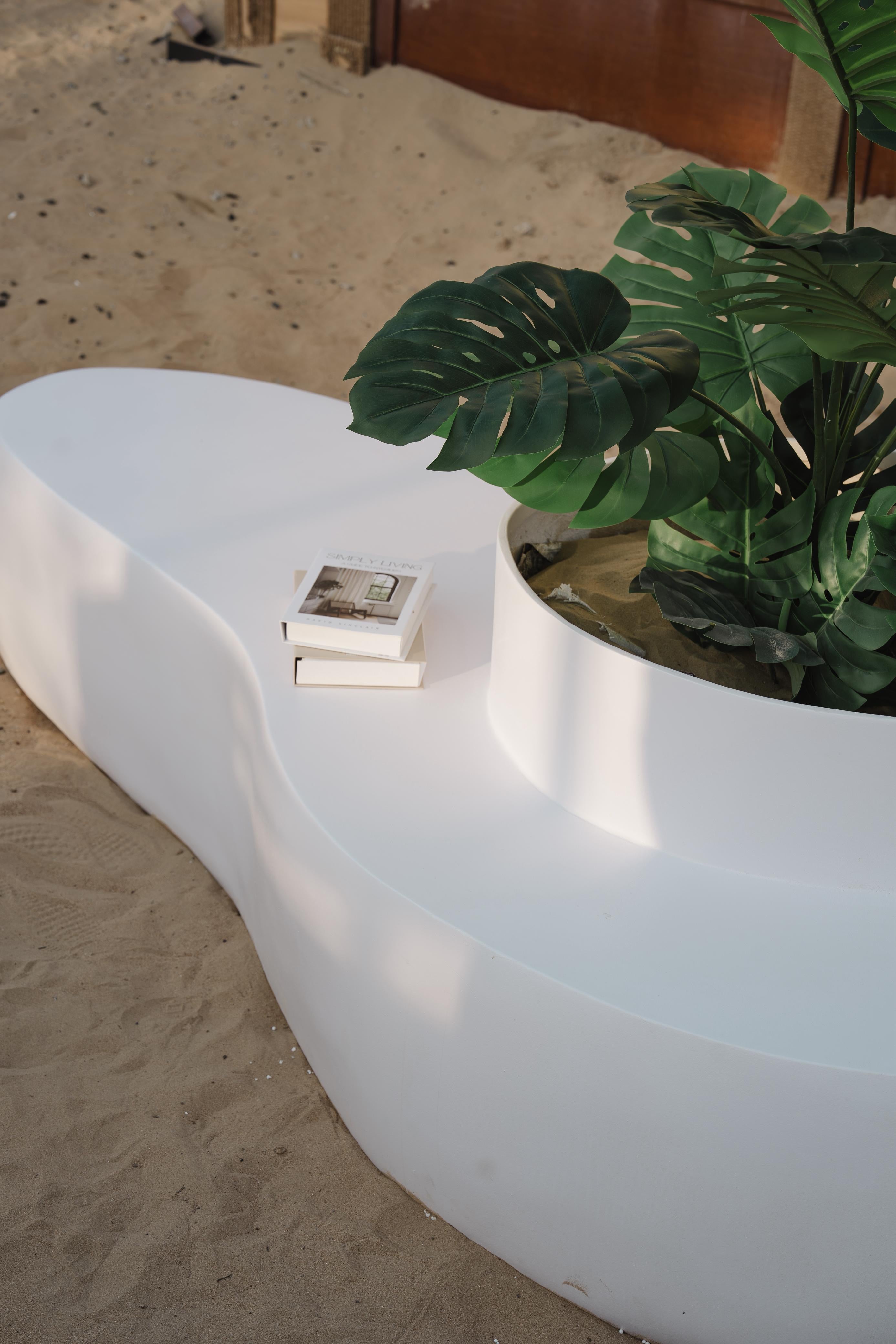 White curved avocado shaped planter seater with a plant and books on a sandy background