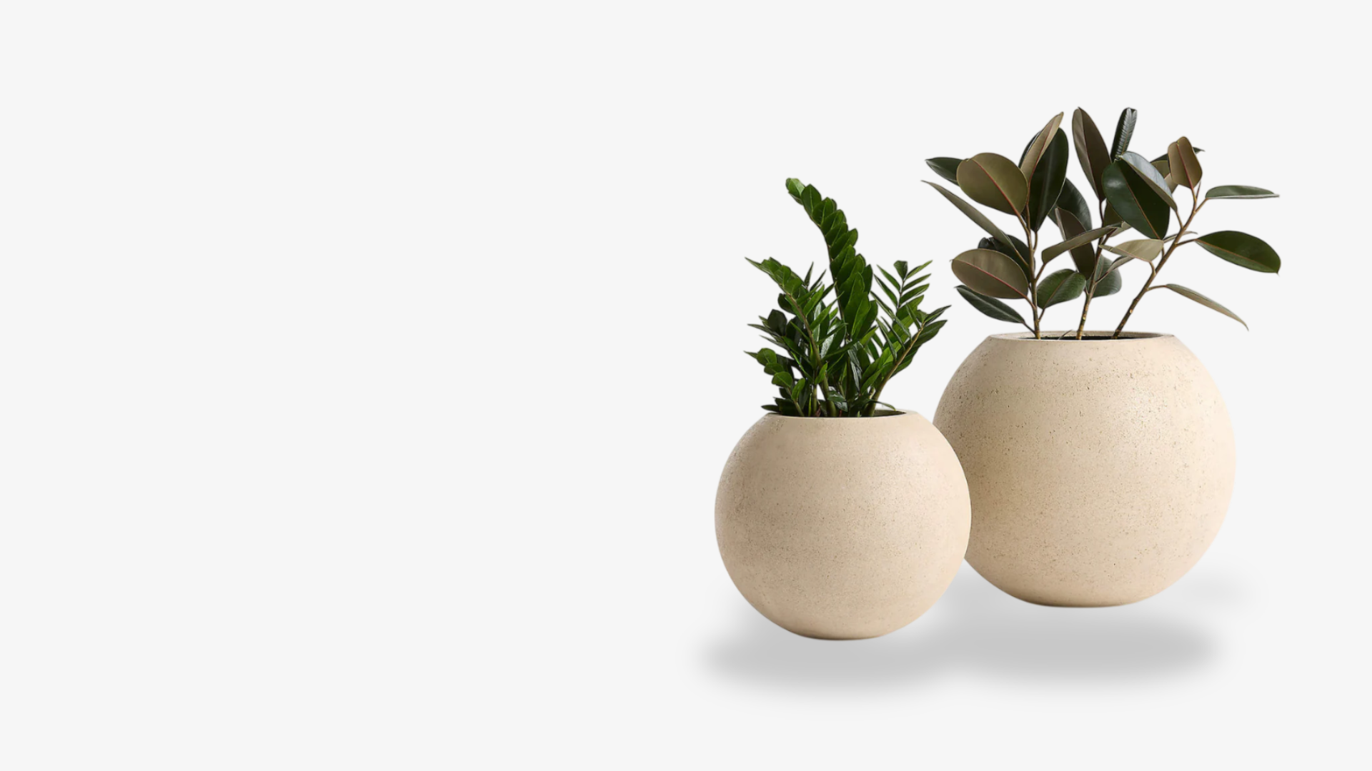 Two round matte beige planters, one small and one large, holding green leafy plants, set against a plain white background.