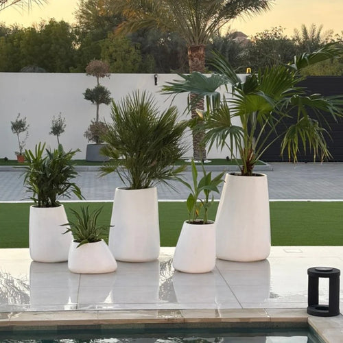 Five white modern tapered planter pots of different shapes and sizes arranged on a tiled poolside terrace with green grass, palm trees, and a white wall in the background.