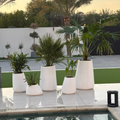 Curvy Planters, 5 Pots, Combo (Without Plants), White