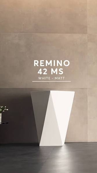 Remino