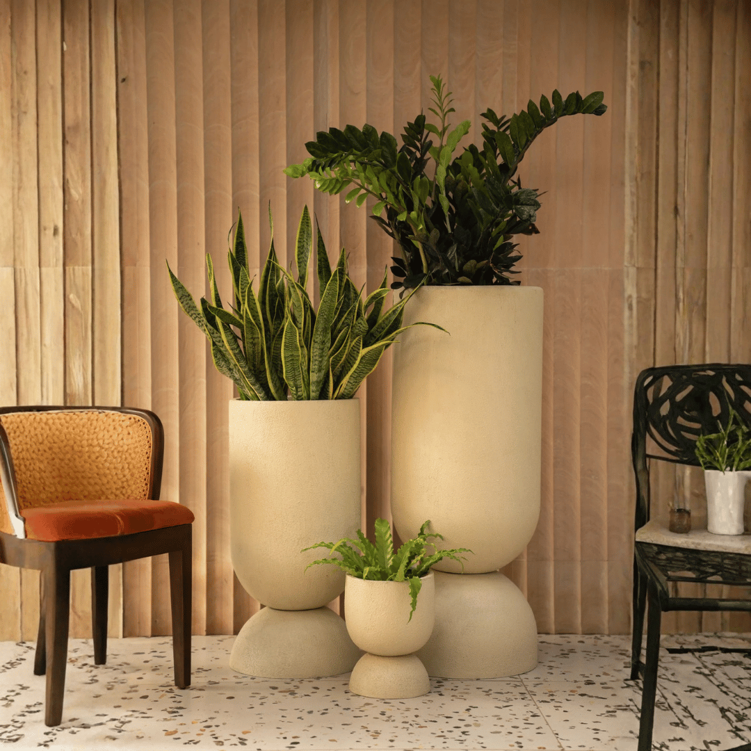 3 hourglass shape pots in 3 sizes from small to large in a beige color with a wood panel background. Surrounded by two chairs and a tiled flooring.